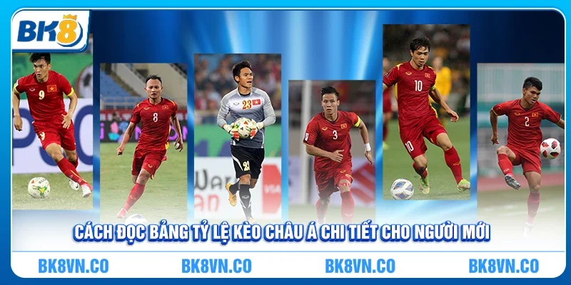 Cách đọc bảng tỷ lệ Kèo Châu Á chi tiết cho người mới