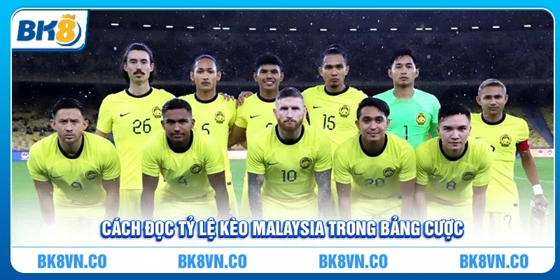 Cách đọc tỷ lệ kèo Malaysia trong bảng cược