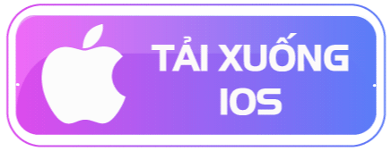 app bk8