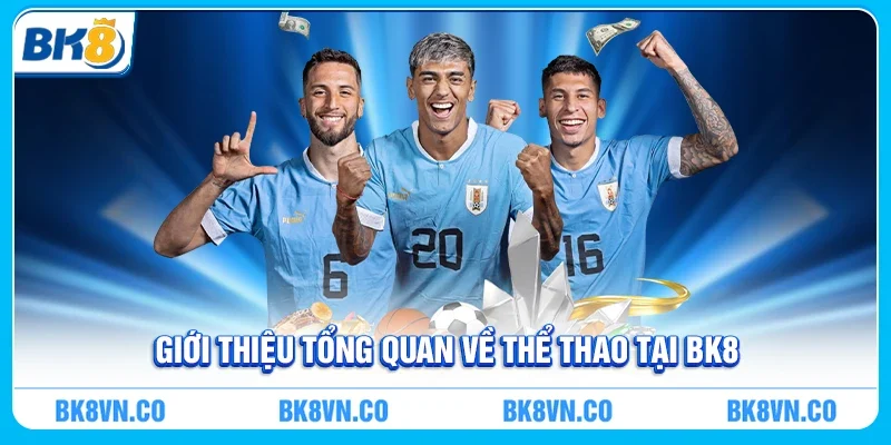 Giới thiệu tổng quan về thể thao tại BK8