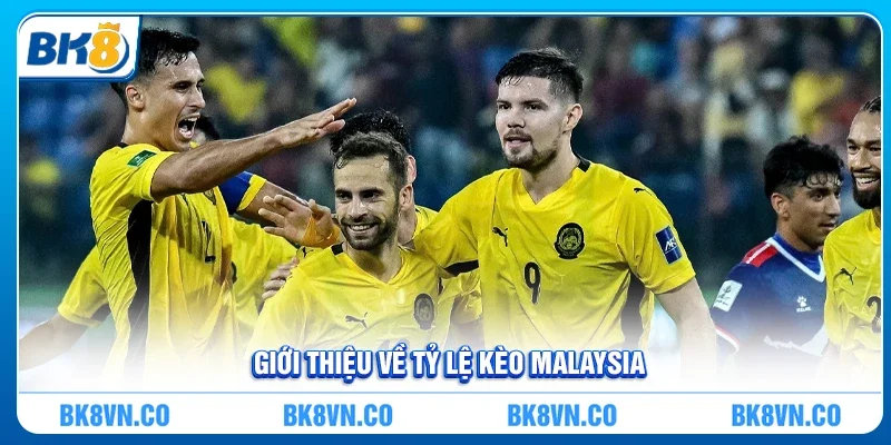 Tỷ lệ kèo Malaysia là gì? Kiến thức cho người chơi cá cược