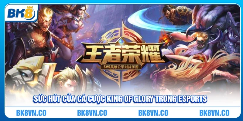 Cá cược King Of Glory - Sân chơi eSports kịch tính cho game thủ