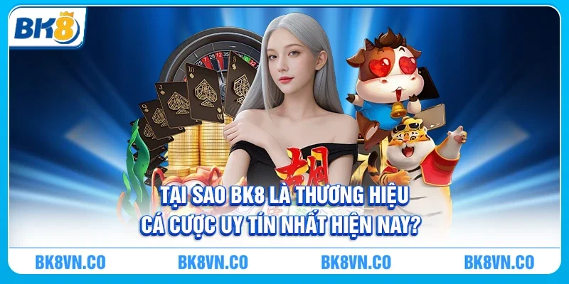 Lý do BK8 là nhà cái uy tín nhất hiện nay