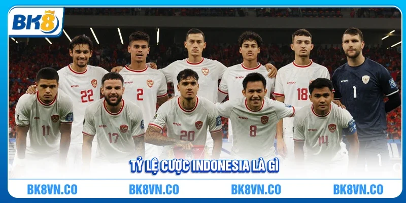 Tỷ lệ cược Indonesia là gì? Khám phá cách đọc và ứng dụng hiệu quả