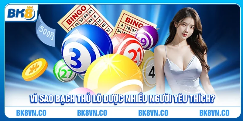 Vì sao Bạch thủ lô được nhiều người yêu thích?